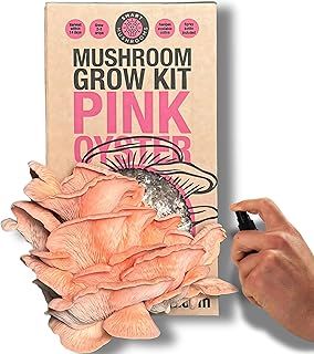Growing kit Pink Oyster XL - Harvest in 14 Days - Growth Guaranteed - Ideal Mushroom Gifts Foodie/Gardening Fun, Easy & Delicious | Grow Your Own Oyster Mushrooms - Grow Your Own