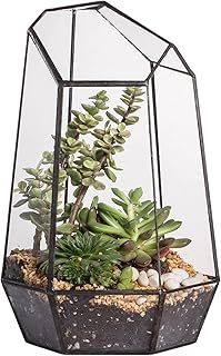 NCYP Opened Geometric Glass Terrarium for Succulent, Air Plants - 16.5 x 14.5 x 25 CM Irregular Glass Planter Pot - Indoor Garden Tabletop Decor, Black (No Plants, No Door)