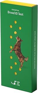 Essential Breed ID Test | Accurate DNA Analysis of 350+ Dog Breeds | Easy-to-Use Kit | Non-Invasive Cheek Swab | Results in 2 Weeks | Includes DNA Certificate & Detailed Breed Report