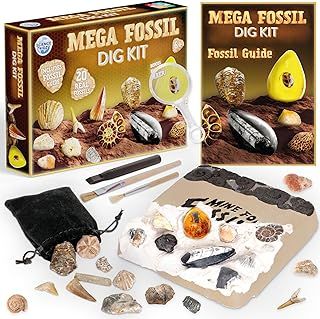 Mega Fossil Dig Kit - Excavate 20 Genuine Prehistoric Fossils, Educational Science Kit For Kids