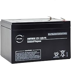 NX, 12V Battery, 12 Volt 12ah battery, 12V 12Ah Lead Acid Rechargeable Battery For General purpose, Scooter, Quad Bikes, Childrens Kids Toy Car Battery, Alarm, Bike, Emergency power (12V - 12Ah)