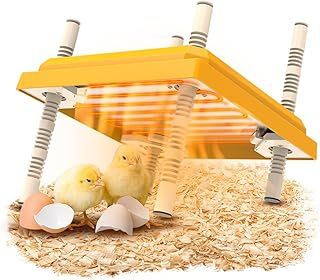 10"x10" Chick Brooder Heating Plate - Chick incubator heating lamp - Adjustable Height - MAX heating temperature 55 ℃/131 ° F Suitable for 15 chicks (Color British Standard)