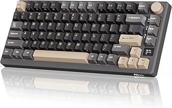 RK ROYAL KLUDGE M75 Wireless Mechanical Keyboard 2.4Ghz/BT5.1/USB-C Gaming Keyboard 75% Layout 81 Keys Gasket Mount with OLED Display & Knob RGB Backlight Hot-Swappable Red Switch, Grey, US Layout