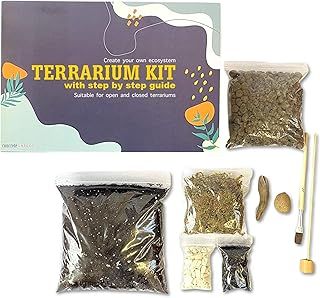 Terrarium DIY Kit for Succulents and Cacti Plants with Step by Step Guide Includes Soil Charcoal Pebbles Sphagnum Moss White Stones Driftwood & Brush (Medium)