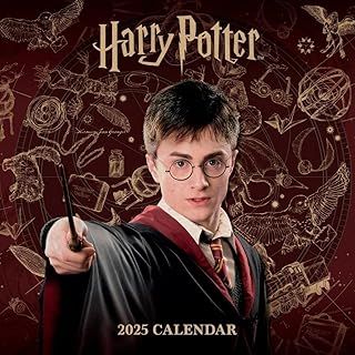 2025 Calendar Harry Potter Month to View Square Calendar Official Product