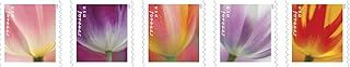 United States Postal Service USPS 2023 Tulip Blossom Forever First Class Postage Stamps (20 Count Booklet)
