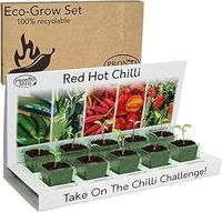 Pronto Seed Grow Your Own Chilli Plant Kit with 5 Seeds Varieties - Indoor Growing Set with Sustainable Packaging Display - Gift for Women, Men - Beginner-Friendly (Chilli Kit)