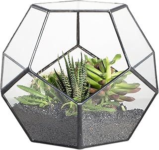 NCYP Small Glass Geometric Terrarium Planter, 17.5x17.5x15 cm Open Terrarium Pot for Succulent, Cacti - Indoor Home Garden Tabletop Decor, Black (No Plants, No Door)