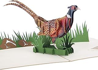 Cardology - Pheasant Shooting Pop Up Card | Birthday Cards, Father's Day Cards, Mother's Day Cards, Shooting Gifts For Men | Handmade