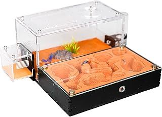 Ant House for Adults: Study Ant Behavior, Terrarium, Educational Formicarium with Big Area