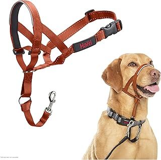 HALTI Headcollar - To Stop Your Dog Pulling on the Lead. Adjustable, Reflective and Lightweight, with Padded Nose Band. Dog Training Anti-Pull Collar for Medium Dogs (Size 3, Burnt Orange)