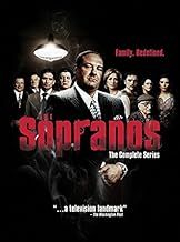 The Complete Sopranos HBO TV Series DVD Collection [28 Discs] Box Set: Season 1, 2, 3, 4, 5 and 6 + Loads of Extras