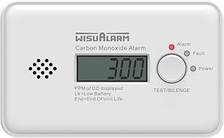 Carbon Monoxide Detector, 10 Years Battery Carbon Monoxide Alarm, CO Alarm with LCD Display and Test/Silence Button Conforms to EN50291 Standard