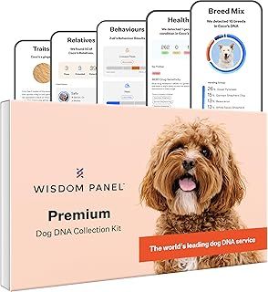 Wisdom Panel Premium: Most Comprehensive Dog DNA Test for 260+ Health Tests | Accurate Breed ID and Ancestry | Traits | Relatives | Behaviours | Vet Consult