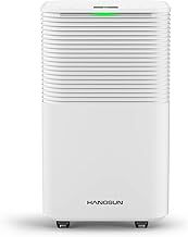 Hangsun 12L/Day Dehumidifier for Home Damp, Low Energy Dehumidifiers with Humidity Display, Laundry Drying, Continuous Drainage, 24H Timer Ideal for Large Room, Basement, Bedroom, Bathroom