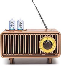 COLSUR Retro Radio, Portable Bluetooth Speaker with FM Vintage Radio, Small Radios Mains and 1500mAh Battery, Support TF Card/AUX/USB, MP3 Player, 5W Speaker, Bluetooth 5.0