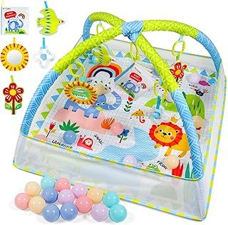 Dr.Rapeti Baby Play Mat, Activity Baby Play Gym with Arch, Playmats & Floor Gyms, Detachable Mirror, Soft Book and Balls Toys, Thick Non Toxic Playmats