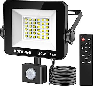 Motion Sensor Outdoor Security Light, 30W 2750 Lumen LED Floodlights with PIR Sensor, IP66 Waterproof Motion Sensor Outdoor Wall Light with Remote Control for Garden, Backyard, Garage (30W)