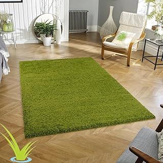 Wadan 120x170cm Green Shaggy Rugs Living Room |5mm Thick Pile | Extra Large Small Medium | Rectangular Size | Soft Touch | Living Room Area Rugs | Non Shedding