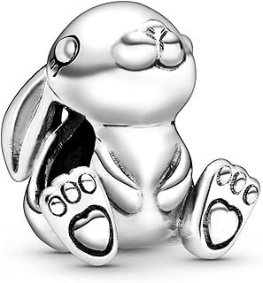 Pandora Friends Charm Collection