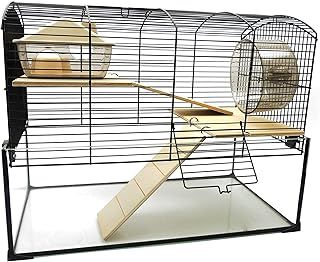 Little Friends Mayfair Gerbilarium Cage with Accessories, 51.5 x 28 x 40 cm