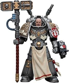 HiPlay JoyToy Warhammer 40K Collectible Figure: Grey Knights Interceptor Squad Interceptor Justicar 1:18 Scale Action Figures JT8964