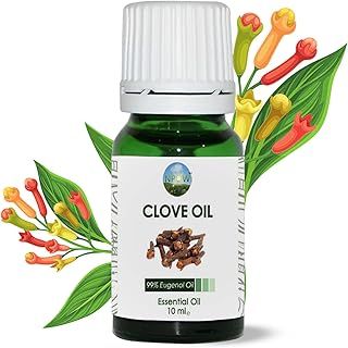 Clove Oil for Toothache Pain Relief for Adult – Oil of Cloves for Toothache Natural Dental Solution, Clove Essential Oils, Cloves Extract for Oral Care, Tooth Pain Relief and Dental Health - 10ml