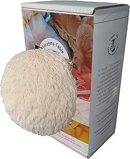 Lion’s Mane Mushroom Growing Kit | Ready to Grow Mushrooms Kit | Fun to Grow & Delicious to Eat | Grow Your Own Kits Foragers Table