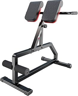 PASYOU Roman Chair Adjustable Hyperextension Roman Chair Workouts Sit Up Gym Bench,Ultra Sturdy,Adjustable Ab Sit up Bench for Gym,Home and Fitness