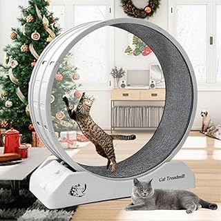 Keyzone Cat Exercise Wheel, 31.5 Inch Cat Wheels for Indoor Cats, Cat Treadmill Wheel Exerciser with Carpeted Runway, Cat Running Wheel for Cats Daily Exercise and Weight Loss, Plastic Cat Wheel