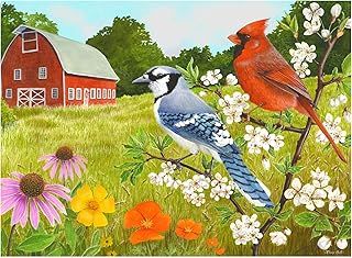 Relish - Dementia Jigsaw Puzzles for Adults - 13 Piece Summer Birds Puzzle - Activities & Gifts for Elderly People with Alzheimer's