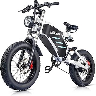 Electric Bicycle，20 Inch Off-Road EBIKE for Adults with 48V 25AH Detachable Lithium Ion Battery, 7 Speed Snow Bike with Dual Shock Absorbers and Brush-less Motor
