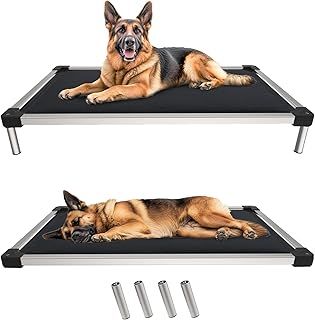 fxw Titanest Padded Dog Bed for Crate, Chew-Proof Elevated Cot for Indoor/Outdoor/Camping Use, Durable & Washable Pet Bed for Small and Medium Dogs, 127cm, Grey