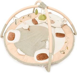 Play Project Baby Play Gym Activity Playmat For Newborns, Babies and Toddlers | Friendly Bear Design | Quick Assembly | Includes Teether, Rattle, Mirror and More!