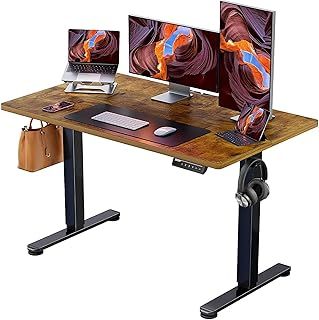 ErGear Electric Standing Desk Height Adjustable 120 x 60cm, Sit Stand Desk with 4 Memory Smart Pannel for Home Office with Splice Board