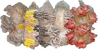Foragers Table Mushroom Growing Kit, Oyster Mushroom Grow Kit, Gardening Gift, Grow Your Own, Fun to Grow & Delicious to Eat, Includes Voucher to Claim Living Spawn Separately for Gifting