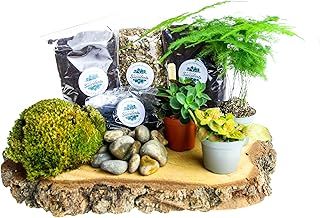 Terrarium Starter Kit Small for Closed Jar – Includes 3 Living Plants, Moss, Soil, Gravel, Charcoal & Guide – Perfect DIY Indoor Gardening Kit & Gift Idea for Men & Women