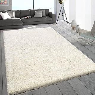 Extra Large Shaggy Rug 5cm Thick Soft Pile Modern Fluffy Rugs for Living Room Bedroom Floor Carpet Mat Non Shedding Warm Colours Small Large X-Large Area Rugs (Cream, 120 x 170cm)
