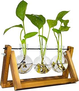 Mothers Gifts for Mum, Propagation Station for Plants, Terrarium for Hydroponic Plants, Plant Terrarium with Wooden Stand Decorate Office, Dining Table, Interior(3 Bulb Vase)