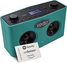 Internet Radio WiFi, Wireless Portable Bluetooth Speaker, Direct Streaming to Spotify, Deezer & Amazon Music - Green