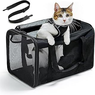Cat Carrier Bag,Soft-Sided Pet Carriers for Dogs with 4-Sided Mesh,Airline Approved Cat Transport Carrier for Small&Medium Cats Kitten Puppy Up to 6Kg,Collapsible Cat Travel Carrier-M,Black