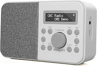 PR2S DAB Radios Portable,DAB+ Digital Radios, FM Kitchen Radio,DAB Radio with Bluetooth, Display, Alarm&Clock&Snooze Timer,40 Preset Stations,Headphones, Radios Mains and Battery-Stone Grey
