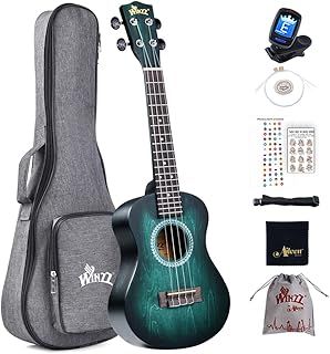 Winzz Ukulele Concert 23 Inches Blue-green, Ukulele Beginner Kit for Adults and Children, Unique Color Design
