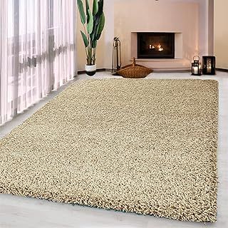 Luxurious Shaggy Rugs Soft Extra Thick Area Rugs Heavy 5cm Dense Pile for Living Room Bedroom Hallway (Light Beige, 160 x 230cm)