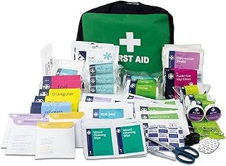 Lewis-Plast First Aid Kit Bag - 309 Piece Survival Kits - Safety Essentials for Travel Car Home Camping Work Hiking,Green
