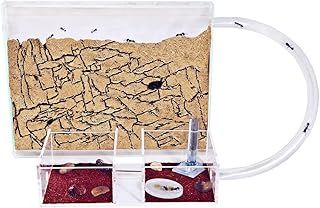 AntHouse - Natural Sand Ant Farm | Medium Kit (Sandwich + Forage Box)